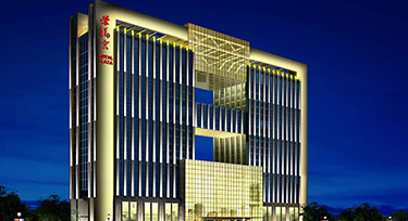 LED樓體亮化廠家找光臣 您信的過(guò)的實(shí)力廠家