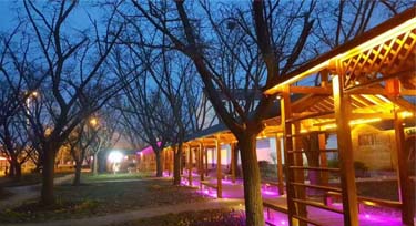 原生態(tài)公園亮化 LED洗墻燈與大自然融為一體